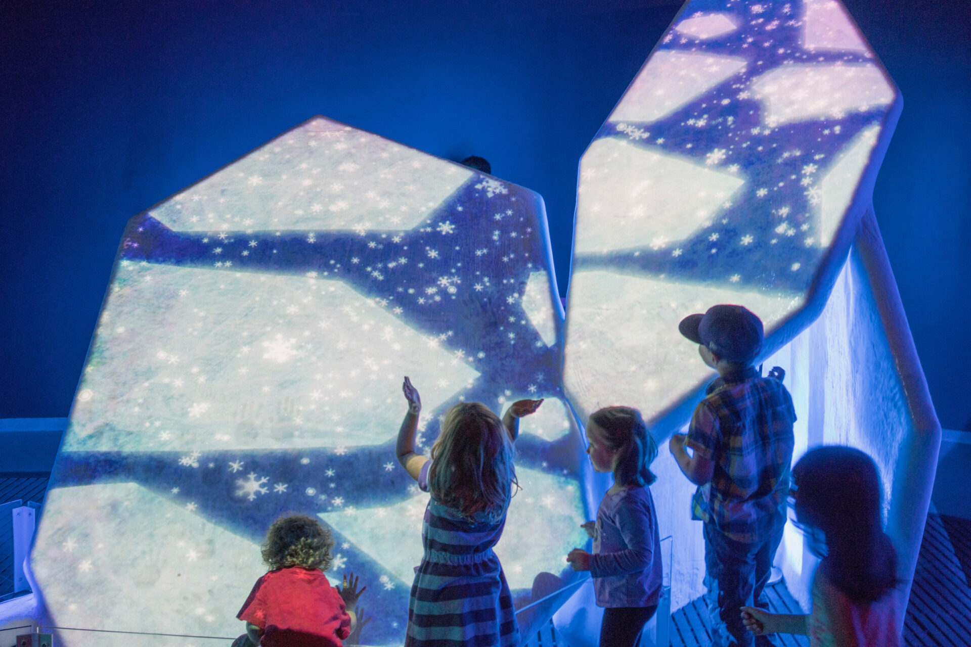 Make a Virtual Snowflake - Canadian Museum of Nature